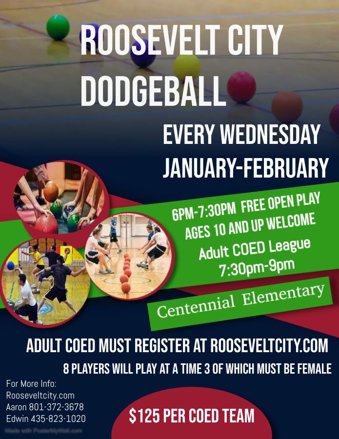 Dodgeball League 2024