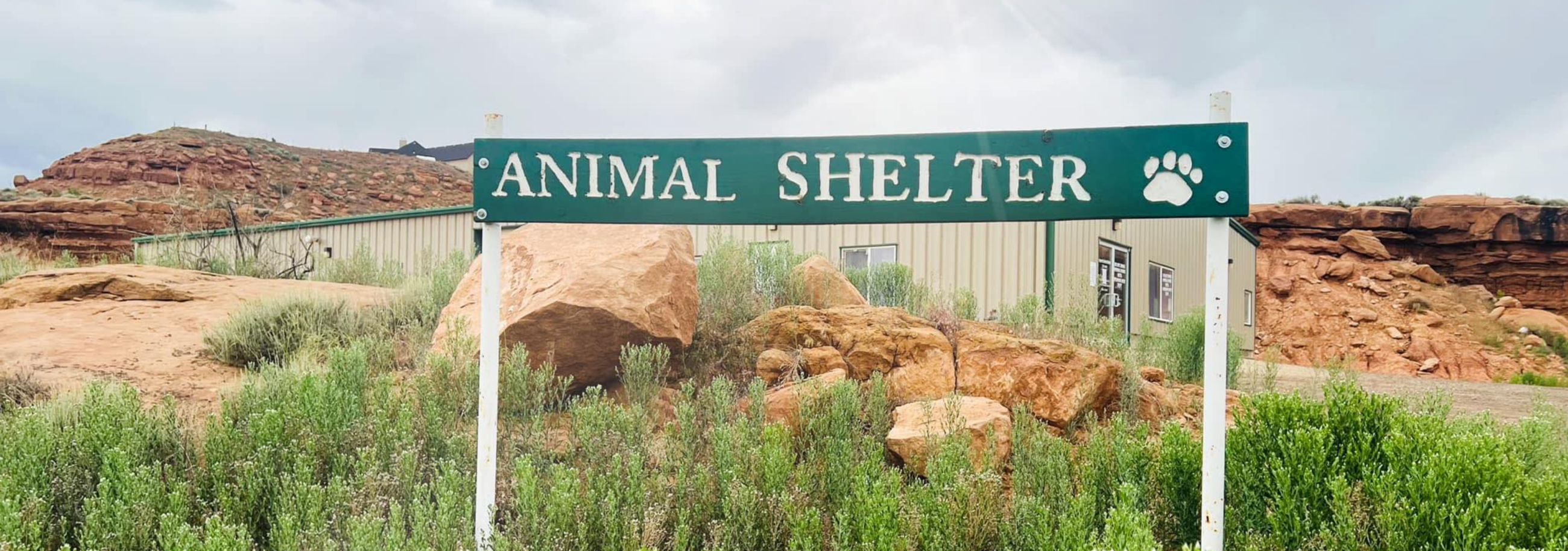 Image of a sign reading "Animal Shelter" with red rocks in background
