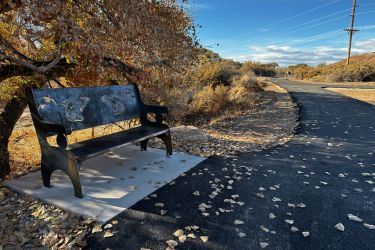 Cottonwood Creek Trail