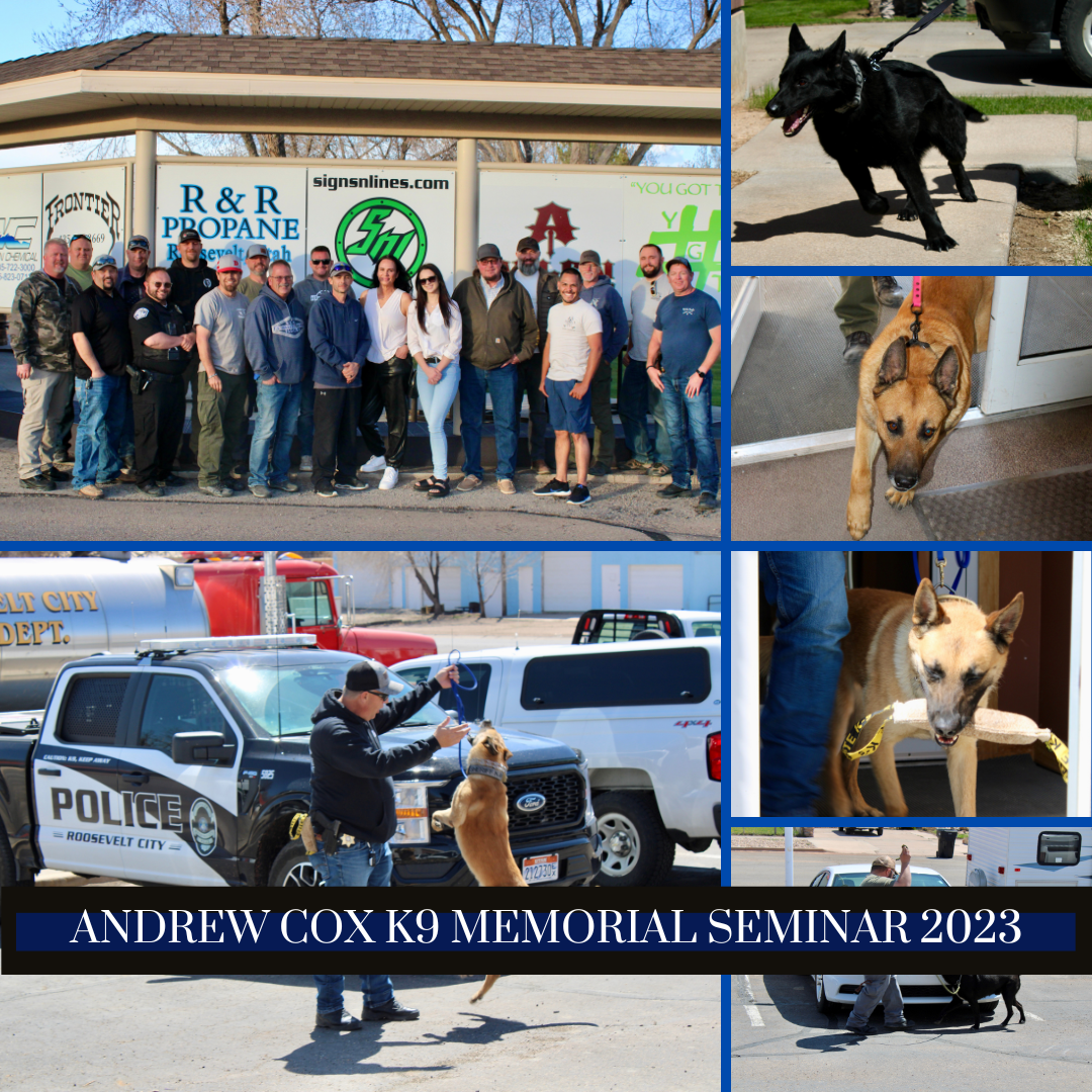 A collage of photographs of people and K9s participating in a training seminar